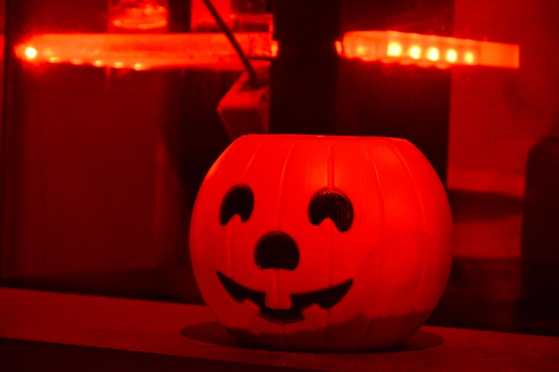 Halloween at Karma Beirut
